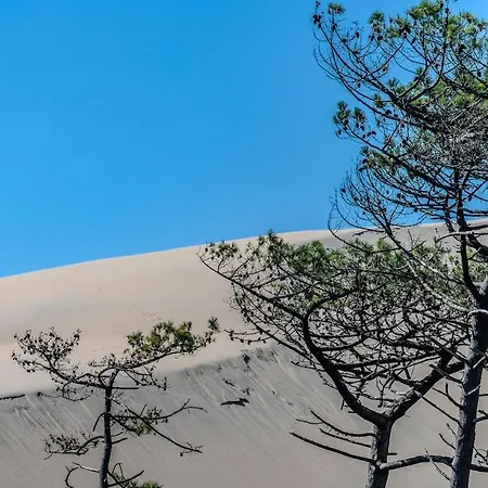 2 Chambres, Neuf, Au Coeur Du Moulleau, Апартаменты Аркашон