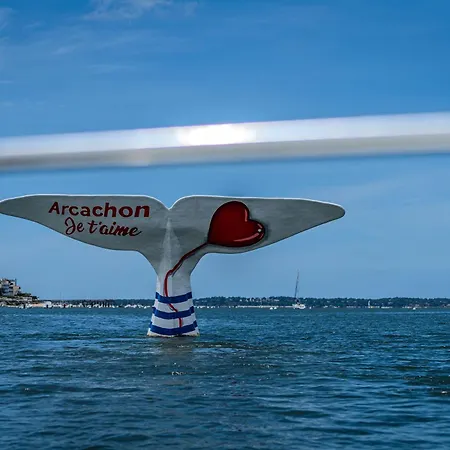 2 Chambres, Neuf, Au Coeur Du Moulleau, * アルカション